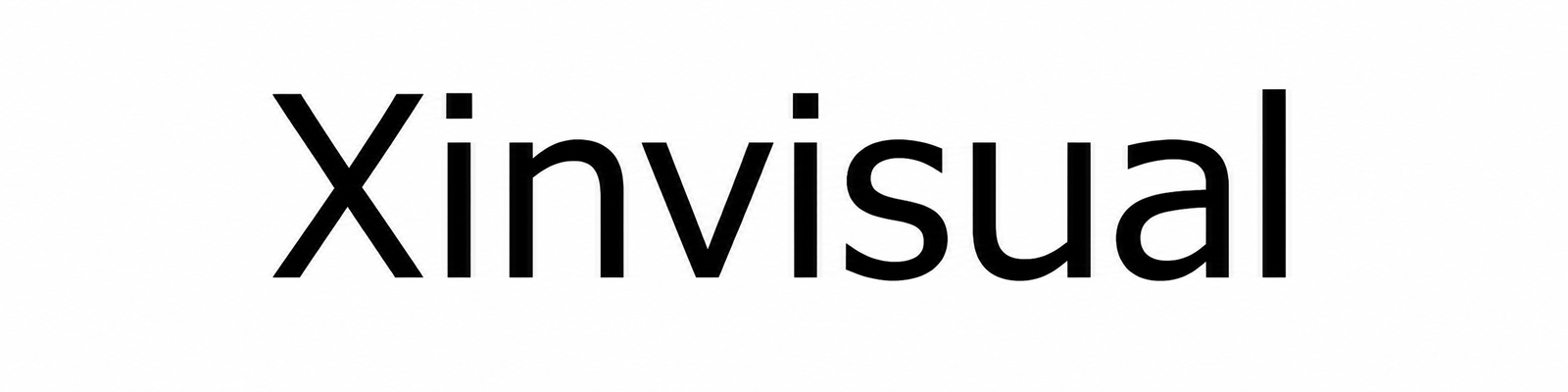 Vehicle Safety Cameras and Monitors Manufacturer Xinvisual Electronics